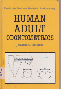Cambridge Studies in Biological Anthropology Human Adult Odontometrics