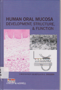 HUMAN ORAL MOCUSA DEVELOPMENT, STRUCTURE, & FUNCTION