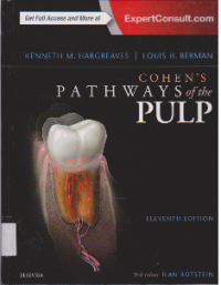 COHEN'S PATHWAYS OF THE PULP
