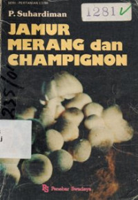 Jamur Merang dan Champignon