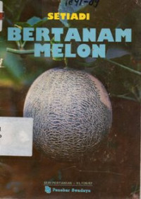 Bertanam Melon
