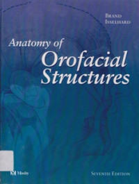 Anatomy Of  Orofacial Structures