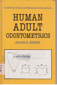 Image of Cambridge Studies in Biological Anthropology Human Adult Odontometrics
