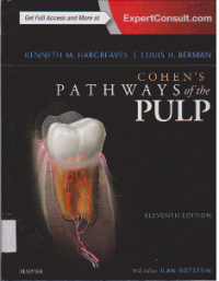 Image of COHEN'S PATHWAYS OF THE PULP