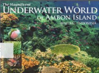 The Magnificent Underwater World Of Ambon Island : Maluku - Indonesia