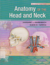 Anatomy of the Head and Neck