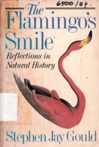 The Flamingos Smile